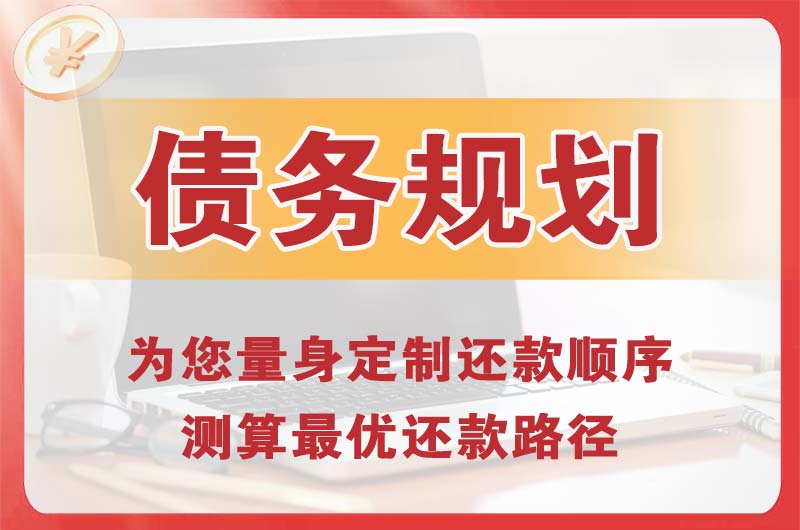 东兰债务规划
